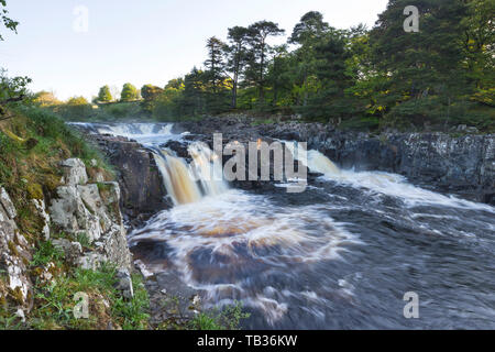 La force faible, de Teesdale, County Durham, Royaume-Uni Banque D'Images