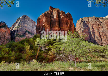 Big Bend de Zion National Park, Utah, USA, Amérique du Nord Banque D'Images