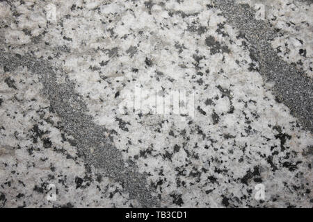 La diorite quartzique - batholite Adamello, Val Fredda complexe, Alpes Italiennes Banque D'Images