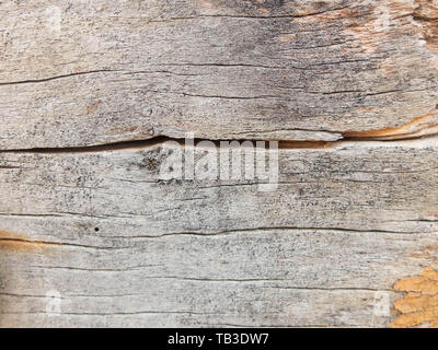 Old Weathered Wood de la surface par des fissures. Concept de texture de fond. Banque D'Images