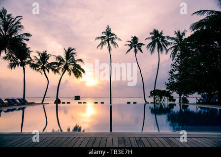 Ihuru Maldives Avril 2019. - La plage à sunsrise sur île tropicale avec palmiers. Banque D'Images