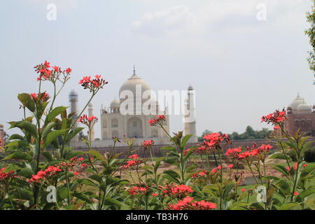 Taj Mahal : l'endroit où l'amour est... en face il n'est amour vivant... laquelle allez-vous le souhaitez ? , Morts ou vivants... Banque D'Images