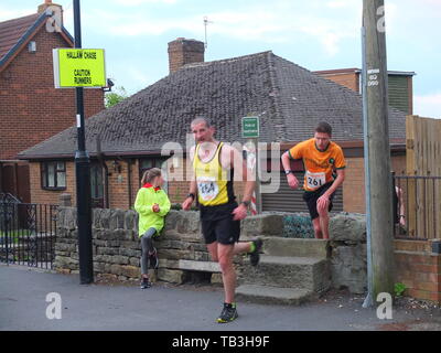 Porteur dans l'Hallam Chase de Crosspool à Sheffield à Stannington, revendiquée en tant que plus ancienne course à la gestion est tombé dans le monde datant de 1862. Banque D'Images