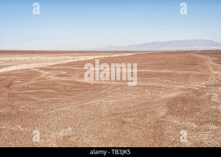 Lignes de Nasca vu depuis un belvédère par autoroute panaméricaine. Nasca, Ministère de l'Ica, au Pérou. Banque D'Images