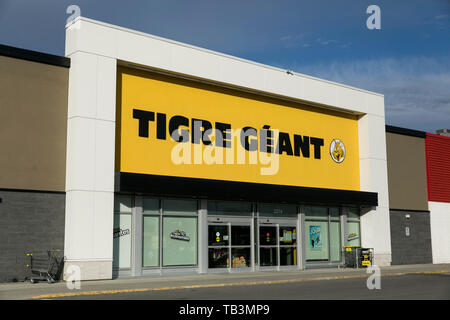 Un logo affiche à l'extérieur d'un Tigre Géant Tigre Géant (magasin) à Greenfield Park, Québec, Canada, le 23 avril 2019. Banque D'Images