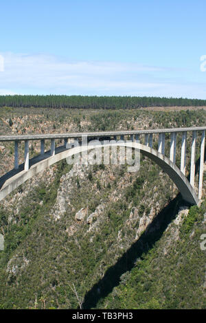 Bloukrans Bridge, Western Cape, Afrique du Sud Banque D'Images