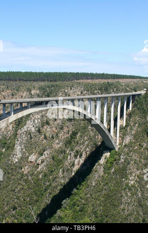 Bloukrans Bridge, Western Cape, Afrique du Sud Banque D'Images