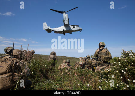 Les Marines américains avec des Groupe Force-Crisis Response-Africa air-sol marin 19.2, Forces maritimes de l'Europe et l'Afrique, et les membres de l'armée italienne pour déplacer la zone d'atterrissage à bord d'un Corps des Marines MV-22B Osprey lors d'une répétition raid durant l'exercice Joint Stars 2019 à la gamme Perdas en Sardaigne, Italie, le 24 mai 2019. Étoiles 2019 mixte est un exercice d'entraînement bilatéral entre les forces armées italiennes et les Marines américains. SPMAGTF-CR-AF est déployée pour effectuer d'intervention en cas de crise et le théâtre des opérations de la sécurité en Afrique et de promouvoir la stabilité régionale par la conduite de la m Banque D'Images