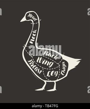 Couper la viande d'oie dessiné sur le tableau noir. Menu de restaurant ou de boucherie. Vector illustration Illustration de Vecteur