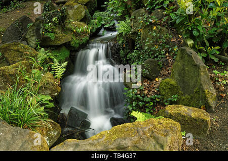 Royaume-Uni, South Yorkshire, Sheffield, chutes d'eau d'Endcliffe Park. Banque D'Images