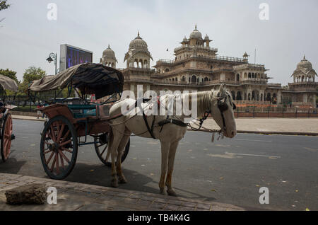 Jaipur, Rajasthan Inde - 0325 / 2019, Albert Hall Museum, cheval et une charrette sur rue. Banque D'Images