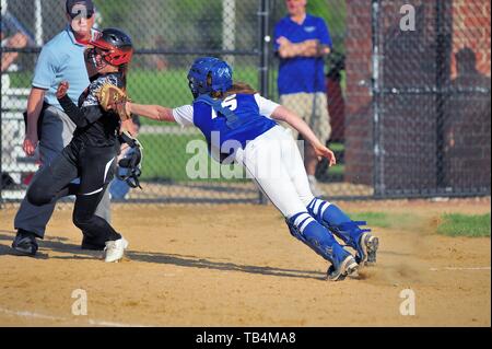 Catcher plongée pour marquer une base runner c'est tenter de marquer. USA. Banque D'Images