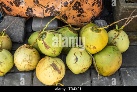 Banjar Gelulung, Bali, Indonésie - 26 Février 2019 : d'énormes boules de noix de coco verte et jaune affiche le long street Ji. Raya Sukawati. Banque D'Images