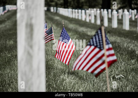 Des drapeaux américains sur les tombes de soldats tombés au champ d'honneur Banque D'Images