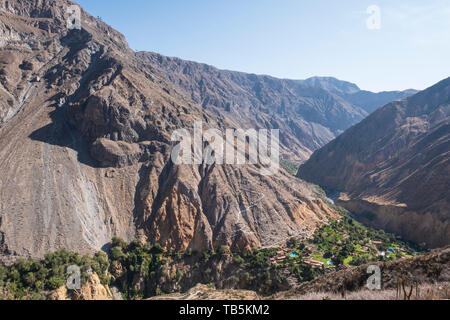 Parc Oasis Sangalle ou dans le Canyon de Colca, Pérou, District de Cabanaconde Banque D'Images