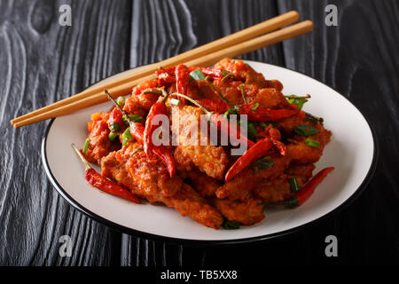 Poulet szechuan épicé traditionnel en sauce Schezwan close-up sur une plaque sur la table horizontale. Banque D'Images