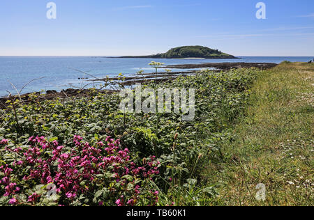 Lone Island depuis Hannafore point. Cornouailles. Banque D'Images