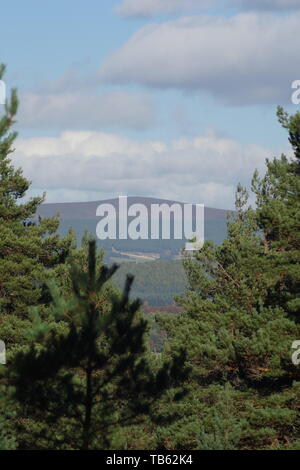 Vue sur la forêt de pin sylvestre de terres agricoles vallonnées le long d'une journée d'automne. Muir de Dinnet, Cairngorms NNR, Écosse, Royaume-Uni. Banque D'Images