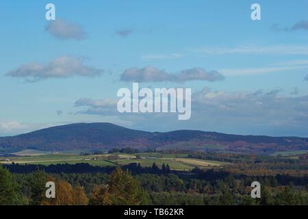 Vue sur la forêt de pin sylvestre de terres agricoles vallonnées le long d'une journée d'automne. Muir de Dinnet, Cairngorms NNR, Écosse, Royaume-Uni. Banque D'Images