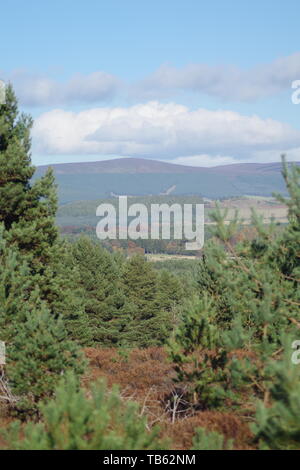 Vue sur la forêt de pin sylvestre de terres agricoles vallonnées le long d'une journée d'automne. Muir de Dinnet, Cairngorms NNR, Écosse, Royaume-Uni. Banque D'Images