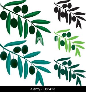Vector illustration. Branche d'olivier, symbole dans différentes tonalités de vert et noir. Illustration de Vecteur