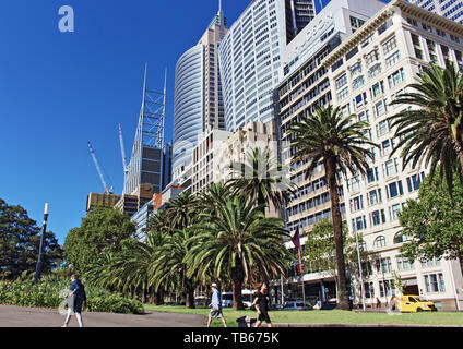 Cityscape - journée ensoleillée paysage de jardins botaniques de Sydney à l'entrée sur Macquarie Street Banque D'Images