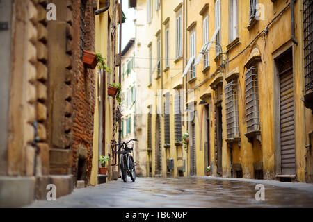 Les vélos garés sur les belles rues médiévales de Lucques, ville connue pour sa ville de l'époque Renaissance intacts les murs, Toscane, Italie. Banque D'Images