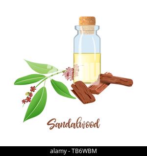 L'huile essentielle de bois de santal dans le flacon en verre avec bouchon, Chandan feuilles, bâtons, l'aromathérapie, parfum, spa, l'ayurvéda Illustration de Vecteur