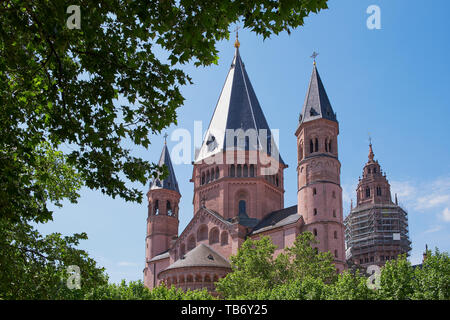 Cathédrale St. Martin, dom de Mainz, Allemagne sur une journée ensoleillée, photographié par des arbres verts Banque D'Images