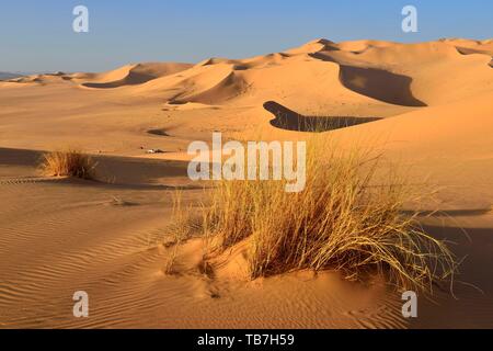 Tin Abard Sandunes, Mont Tazat, Tassili n'Ajjer National Park, Sahara, Algérie Banque D'Images