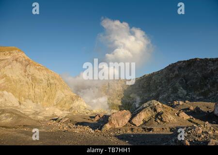 Les formations rocheuses et les fumerolles sur l'île volcanique de l'Ile Blanche avec l'augmentation de vapeur, le cratère volcanique, l'Île Whakaari, Bay of Plenty Banque D'Images