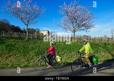 Cycliste en face de Villa Ludwigshohe et château d'amandiers en fleurs, Rhodt sous Riedburg, Route des Vins allemande, Rhénanie-Palatinat, Allemagne Banque D'Images