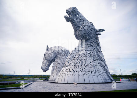 Les Kelpies - Tête de cheval géant Le parc des sculptures, Helix, Falkirk, Ecosse. Conçu par le sculpteur Andy Scott et achevé en 2013, est le Kelpie Banque D'Images