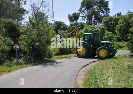 Efface les mauvaises herbes de Forester un chemin de feu dans une forêt. Photographié dans la Montagne de Carmel Forest, Israël Banque D'Images