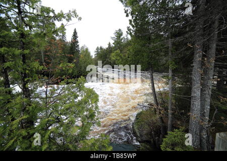 L'une des plus basses sur la rivière Tahquamenon falls vue à travers une lacune dans les arbres Banque D'Images