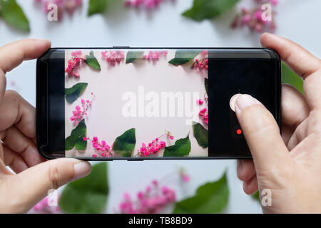 Femme prend les mains fleur photo de téléphone intelligent ou téléphone portable appareil photo numérique Banque D'Images