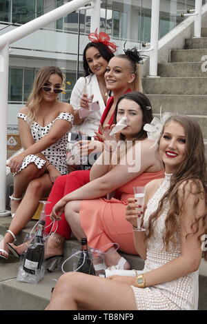 Epsom Downs, Surrey, UK. 31 mai, 2019. Des scènes de l'atmosphère les parieurs avant le début de course à l'Investec Derby Festival - sur Mesdames Jour, classic course de chevaux. Credit : Motofoto/Alamy Live News Banque D'Images