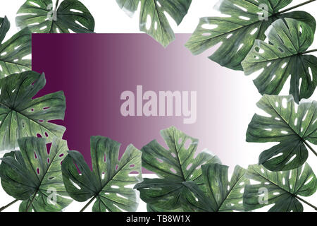 Mise en page créative faite de feuilles tropicaux colorés sur fond blanc. Un minimum d'été avec copie espace concept exotiques. Arrangement de la frontière. Banque D'Images