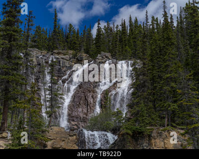 Cascade dans la forêt, Chutes Tangle, promenade des Glaciers, Jasper, Alberta, Canada Banque D'Images