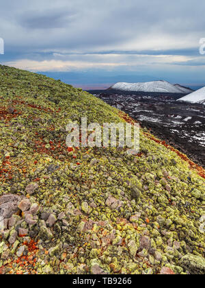 Paysage volcanique sur la péninsule du Kamchatka dans l'extrême est de la Russie. Mousse verte sur roche volcanique noire, volcans enneigés en arrière-plan. Banque D'Images