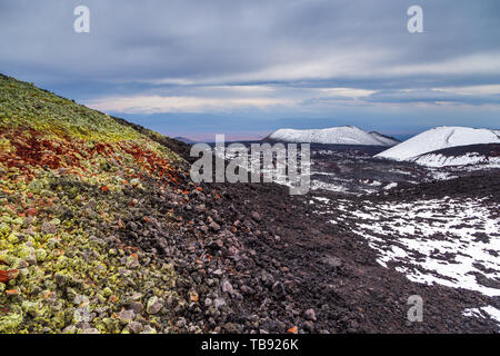 Paysage volcanique sur la péninsule du Kamchatka dans l'extrême est de la Russie. Mousse verte sur roche volcanique noire, volcans enneigés en arrière-plan. Banque D'Images