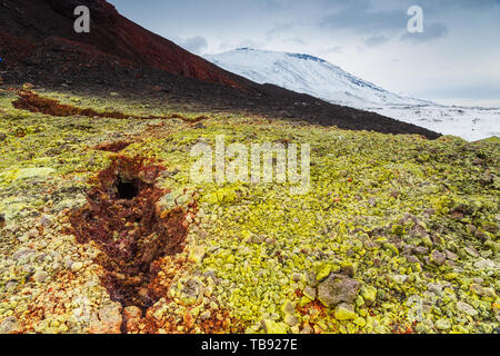 Paysage volcanique sur la péninsule du Kamchatka dans l'extrême est de la Russie. Mousse verte sur roche volcanique noire, volcans enneigés en arrière-plan. Banque D'Images