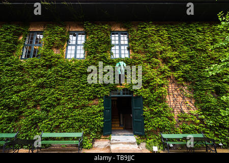 Scenic façade de maison couverts par Norsk Folkemuseum à lierre vert (musée norvégien d'Histoire culturelle), de la Norvège, Oslo Banque D'Images