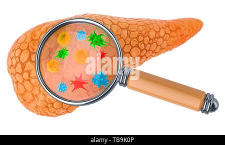 La recherche et le diagnostic des maladies du pancréas concept. Les droits de l'pancréas avec les virus et bactéries sous loupe, rendu 3D isolé sur whit Banque D'Images