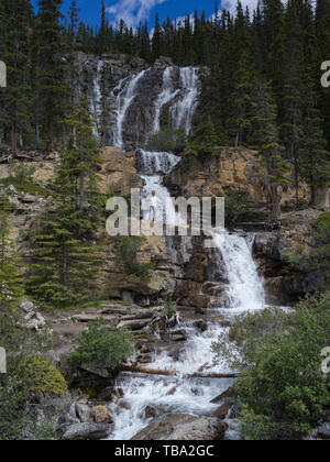 Cascade dans la forêt, Chutes Tangle, promenade des Glaciers, Jasper, Alberta, Canada Banque D'Images
