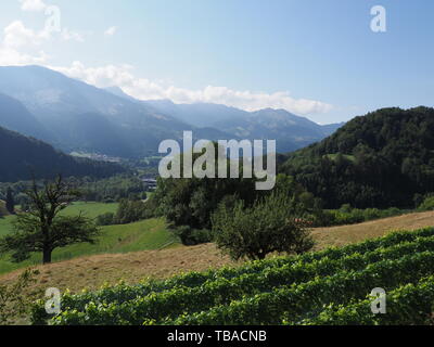 Panorama rural avec l'Alpes à Gruyeres ville en Suisse et ciel bleu clair en 2018, jour d'été chaud et ensoleillé sur août. Banque D'Images