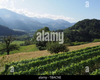 Panorama de beauté avec l'Alpes à Gruyeres ville en Suisse et ciel bleu clair en 2018, jour d'été chaud et ensoleillé sur août. Banque D'Images