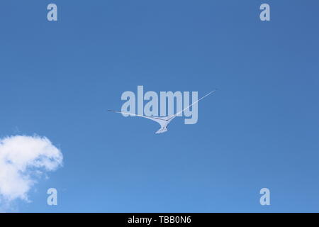 Un cerf-volant sous la forme d'un seul grand oiseau blanc. Un cerf-volant dans le ciel parmi les nuages. Grand oiseau blanc dans le ciel. Banque D'Images