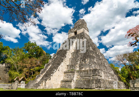 Temple du Grand Jaguar à Tikal au Guatemala Banque D'Images