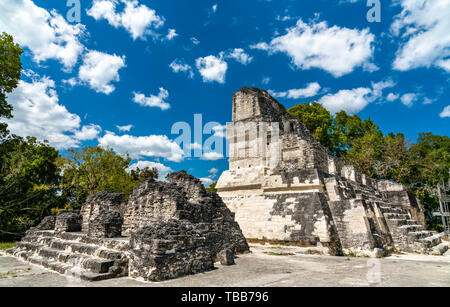 Ruines mayas de Tikal au Guatemala Banque D'Images